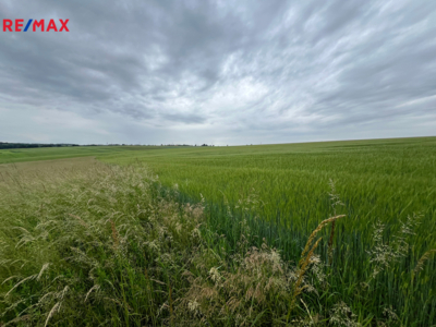 Realitní kancelář Brno Realitní kancelář Brno