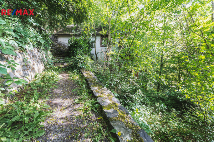 2830772.jpg 2830772.jpg