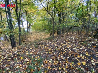 REMAX Brno REMAX Brno