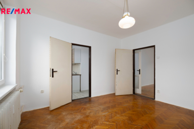 REMAX Delux