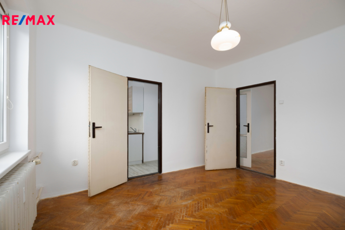 REMAX Delux