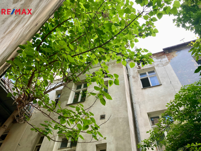 2846928.jpeg 2846928.jpeg