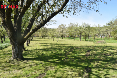 2762903.jpg 2762903.jpg