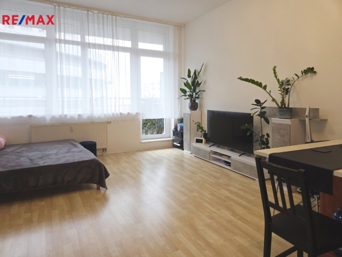 Pronájem bytu 1+kk, 42 m2, Praha