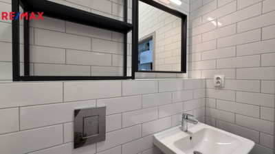REMAX Delux