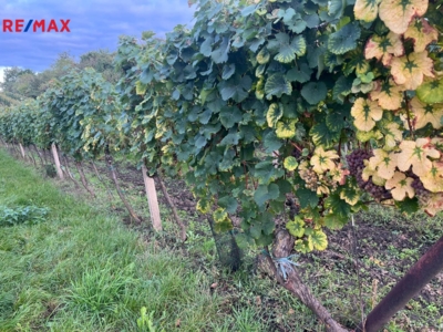 Realitní kancelář Brno Realitní kancelář Brno