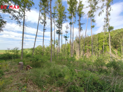 Práce v realitách Brno Práce v realitách Brno