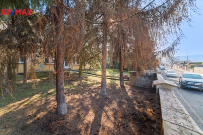 3141750.jpg 3141750.jpg