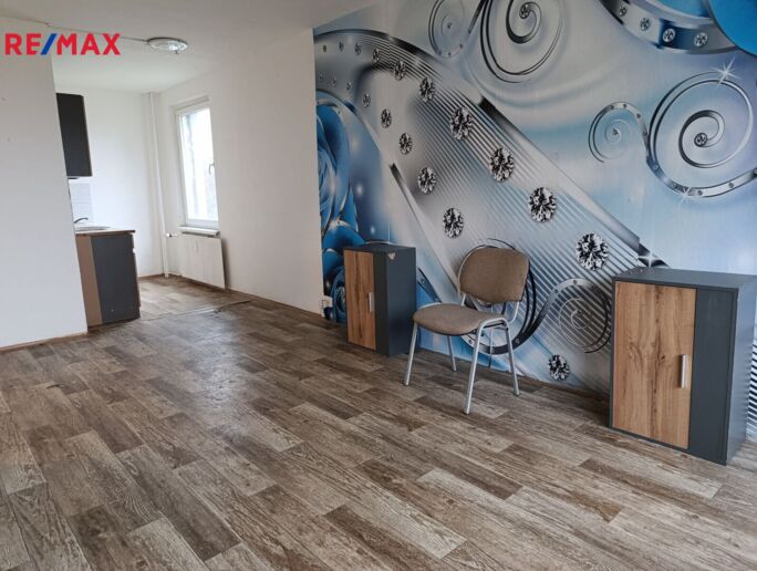 REMAX Delux