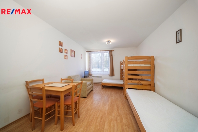 Prodej bytu 1+kk, 30 m2, Ostružná - obrázek 2