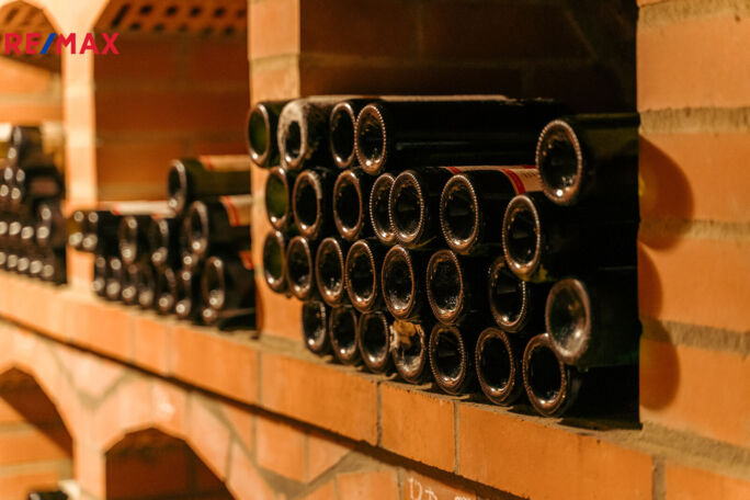 Prodej vinného sklepa, Prušánky - obrázek 26