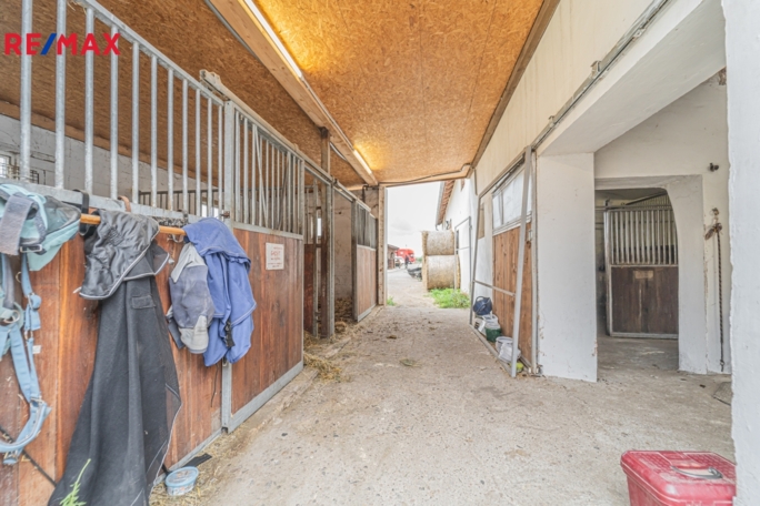 3032851.jpg 3032851.jpg