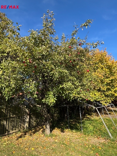 3058674.jpg 3058674.jpg