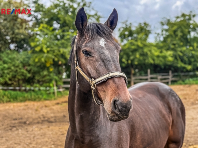 3032843.jpg 3032843.jpg