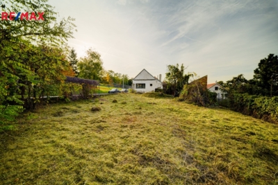 3066770.jpg 3066770.jpg