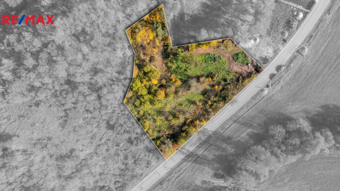 Prodej pozemku pro bydlení, 4761 m2, Oslavany - obrázek 3