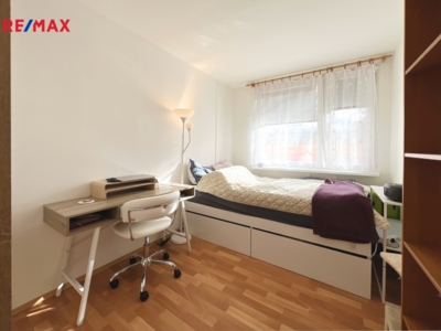 REMAX Delux