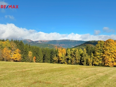 3069096.jpg 3069096.jpg