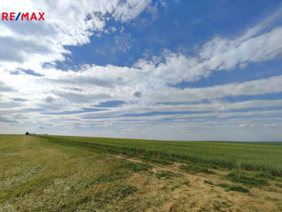 2797204.jpg 2797204.jpg