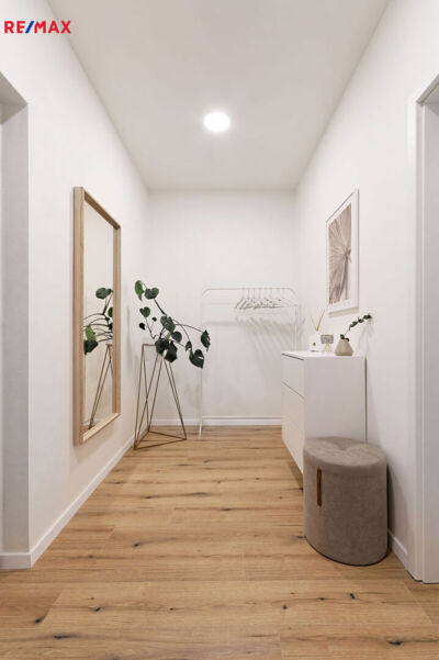 REMAX Delux REMAX Delux