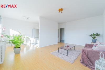 Prodej nemovitostí Brno