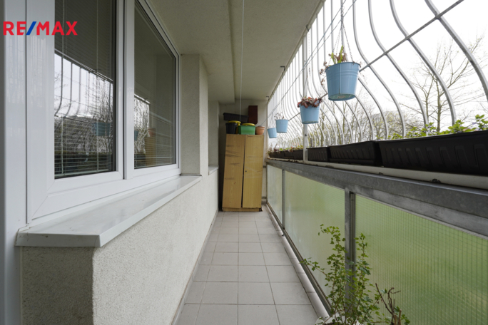 Práce v realitách Brno