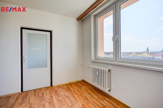 REMAX Delux
