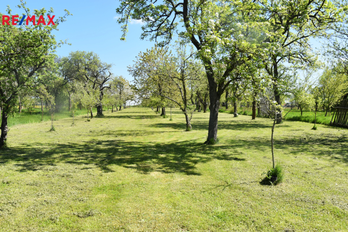 2762908.jpg 2762908.jpg