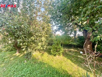 3045532.jpeg 3045532.jpeg