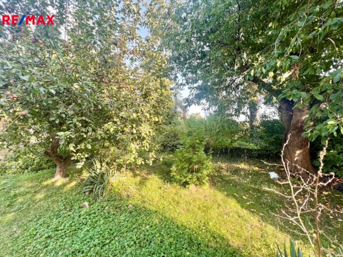 3045532.jpeg 3045532.jpeg