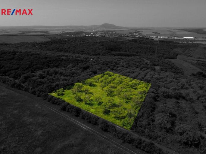 Prodej sadu/vinice, 3780 m2, Hustopeče - obrázek 2