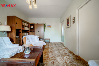 REMAX Delux REMAX Delux