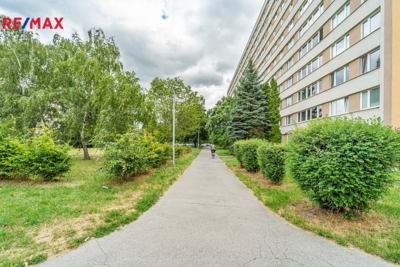 2931728.jpg 2931728.jpg