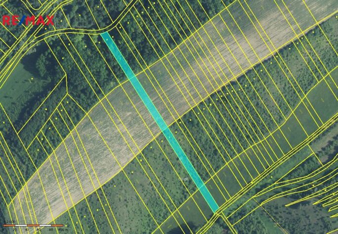 Prodej trvalého travního porostu, 4095 m2, Hustopeče - obrázek 14