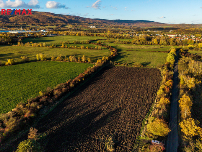Tomáš Šimek Tomáš Šimek