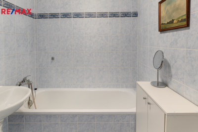 REMAX Delux