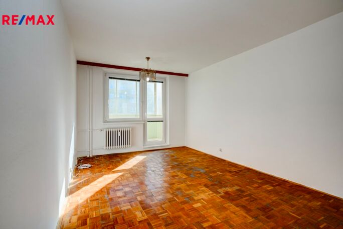 Pronájem bytu 1+1, 48 m2, Hodonín - obrázek 4