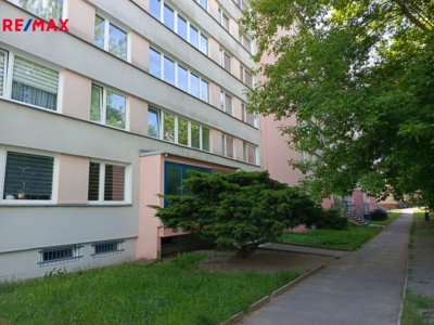 2990229.jpg 2990229.jpg