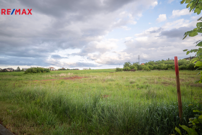 Tomáš Šimek Tomáš Šimek