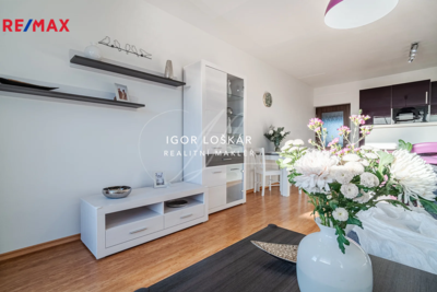 Práce v realitách Brno