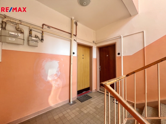 2984892.jpeg 2984892.jpeg