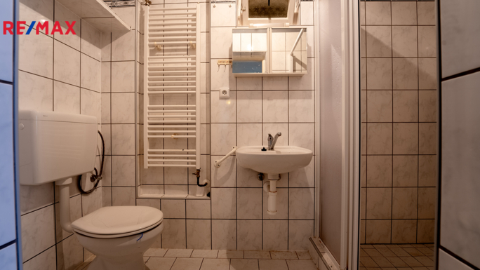 Prodej rodinného domu, 250 m2, Dolní Dunajovice - obrázek 20