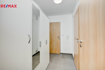 REMAX Delux