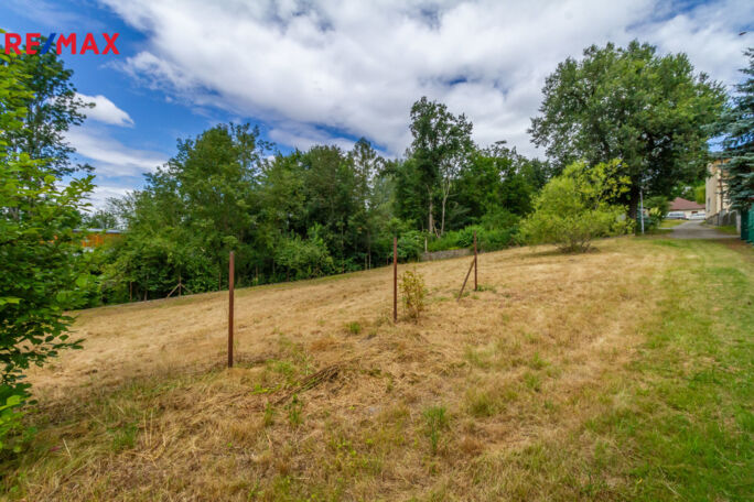 REMAX Delux REMAX Delux