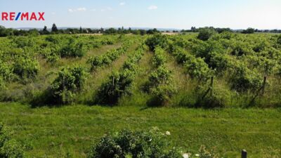 REMAX Brno REMAX Brno