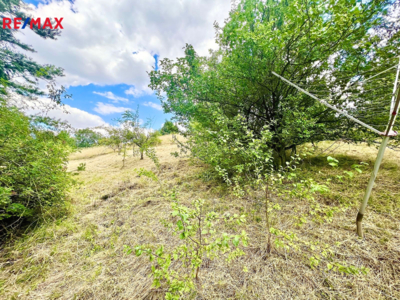 2747061.jpeg 2747061.jpeg