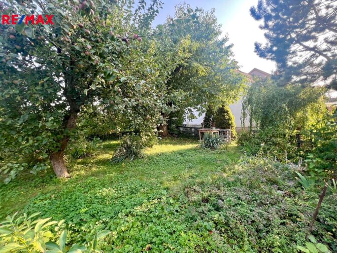 3045531.jpeg 3045531.jpeg