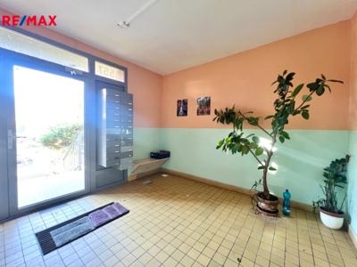 3142564.jpeg 3142564.jpeg