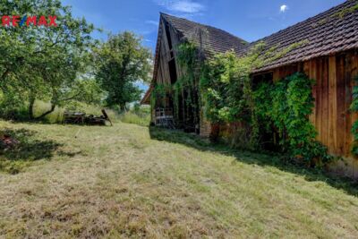 2352261.jpg 2352261.jpg