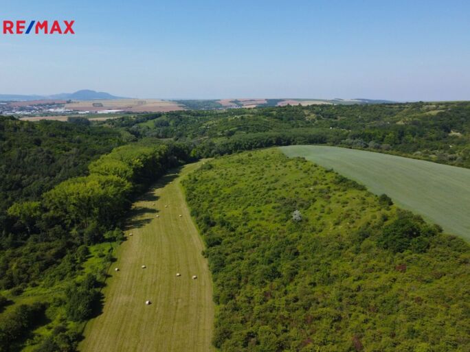 Prodej trvalého travního porostu, 4095 m2, Hustopeče - obrázek 8